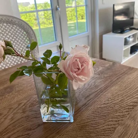 Modern Close To The Beach Semesterbostad Vejby